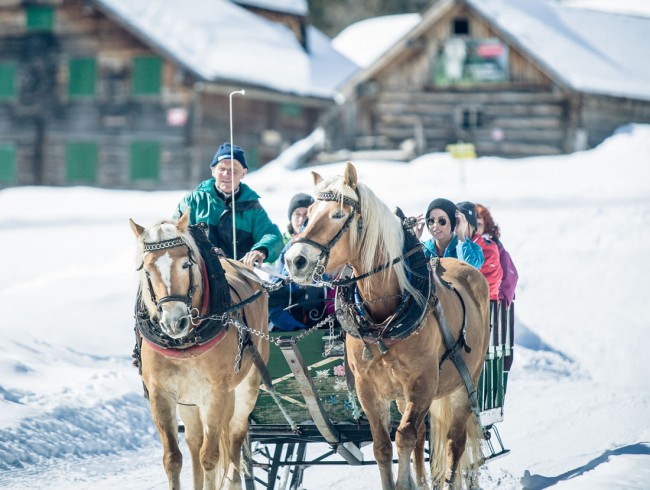 Pferdeschlittenfahrten bei der Gnadenalm © TVB Obertauern